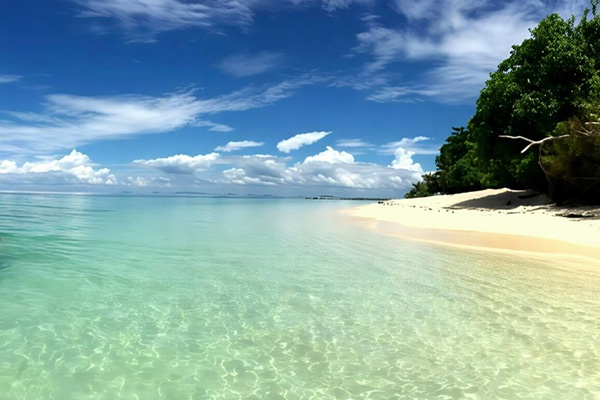 Borneo Sabah, Selingan Turtle Island myr1397 11