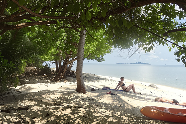 Borneo Sabah, Selingan Turtle Island myr1397 6