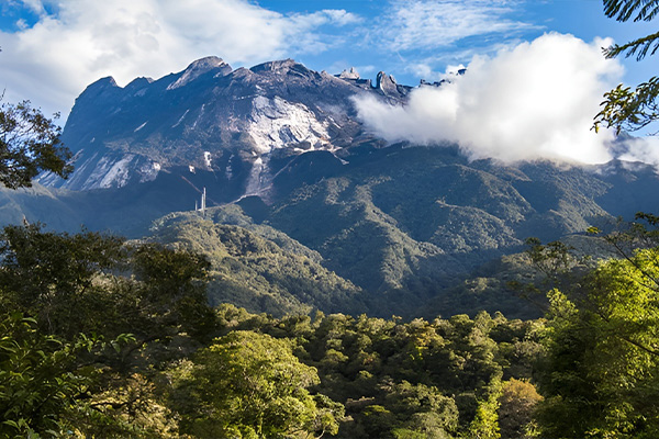 Relaxing Escape in Kundasang 1