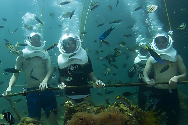 Relaxing Escape in Kundasang 4