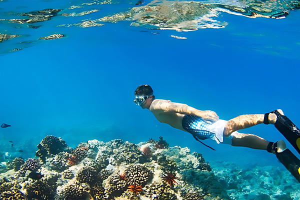 Relaxing Escape in Kundasang 8