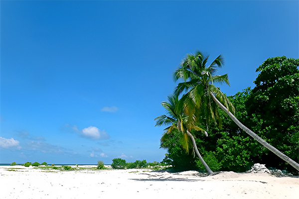 borneo,selingan turtle island 2