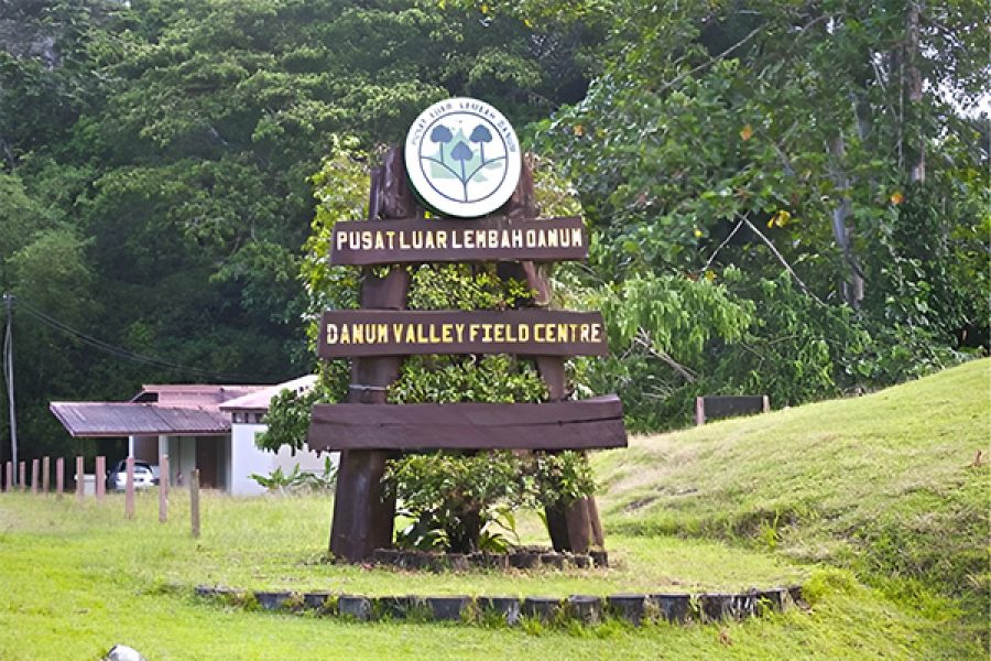 danum valley field centre 1feature