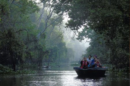 experience with kinabatangan river 1