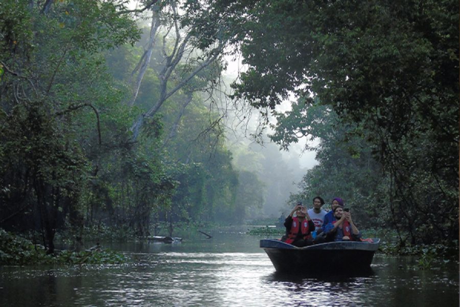experience with kinabatangan river 1