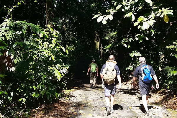 experience with kinabatangan river 12