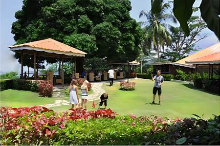 fantastic nature city 1