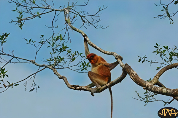 fantastic nature city 6