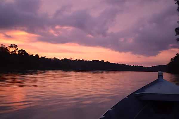 kinabatangan river 5
