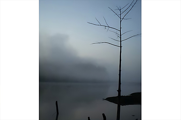 kinabatangan river 8