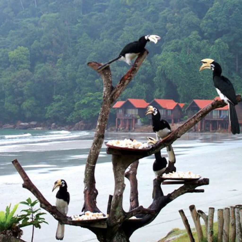 pangkor laut island 9