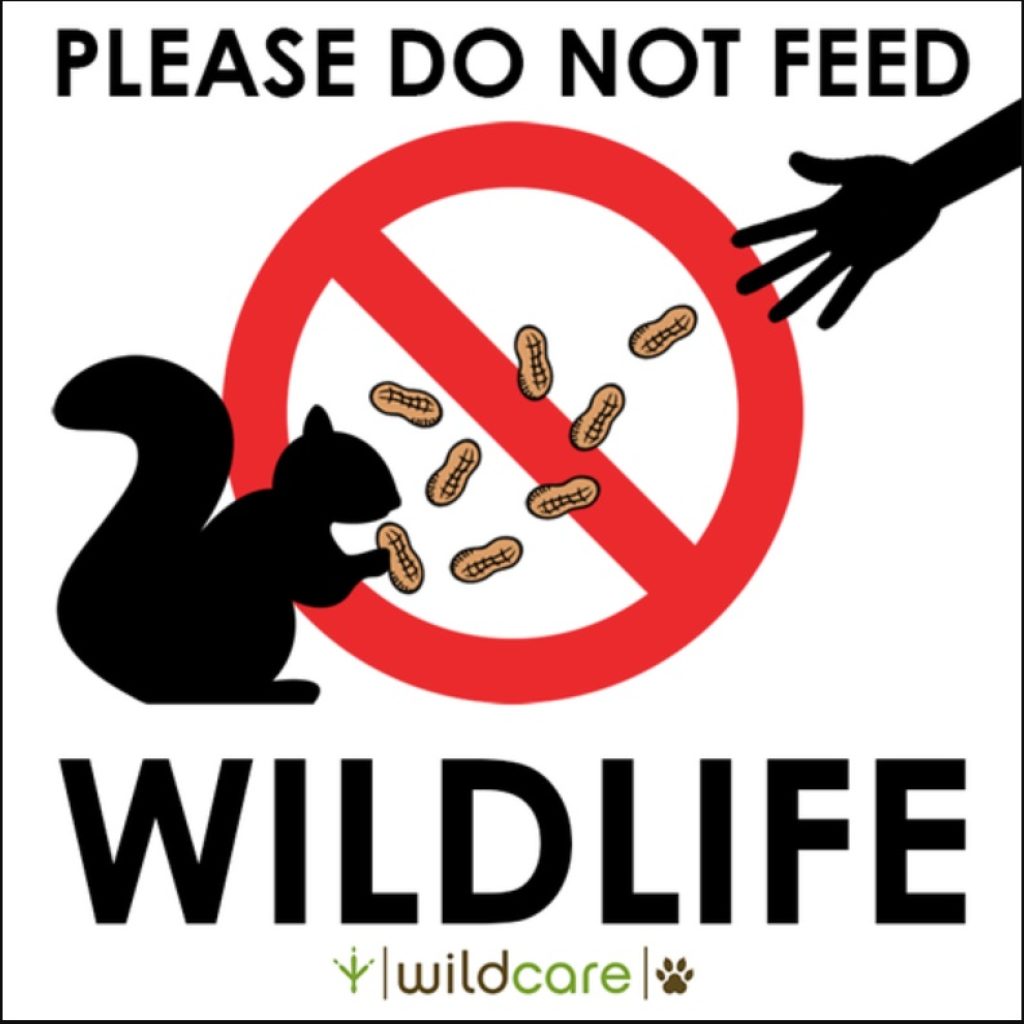No feeding Widlife