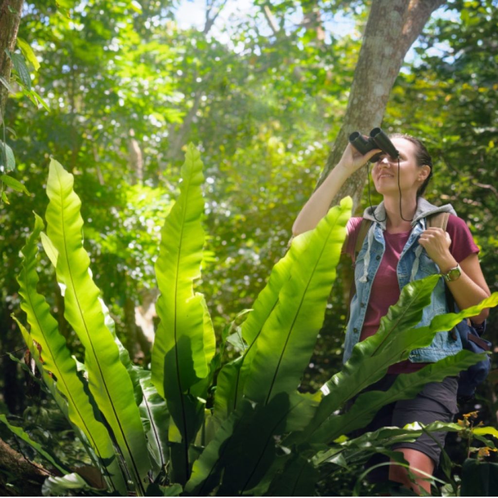 Sustainable Practise in Tourism