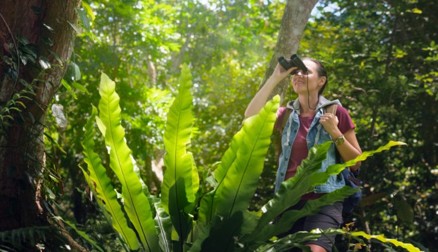 Sustainable Practise in Tourism